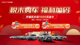 税末购车主背景