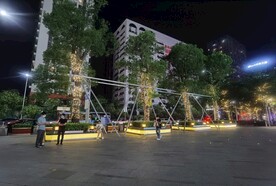 春节亮化树实拍图