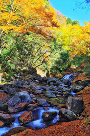 巴中光雾山风光