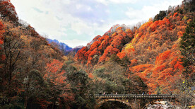 巴中光雾山风光