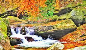 巴中光雾山风光