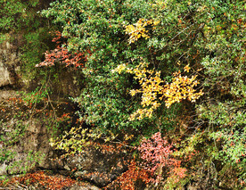 巴中光雾山风光