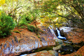 巴中光雾山风光