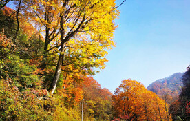 巴中光雾山风光