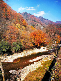 巴中光雾山风光