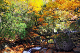 巴中光雾山风光