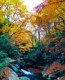 巴中光雾山风光