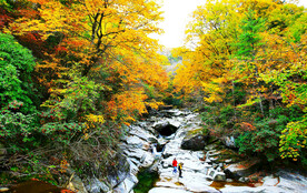 巴中光雾山风光