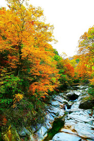 巴中光雾山风光