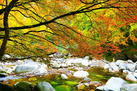 巴中光雾山风光