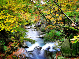 巴中光雾山风光