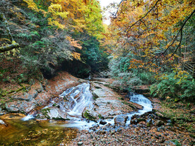 巴中光雾山风光