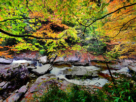 巴中光雾山风光