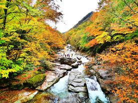 巴中光雾山风光