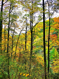 巴中光雾山风光