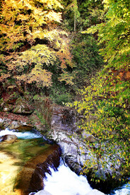 巴中光雾山风光