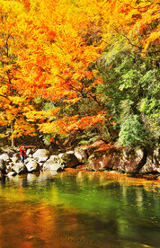 巴中光雾山风光