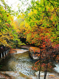 巴中光雾山风光