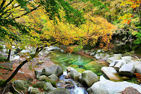 巴中光雾山风光