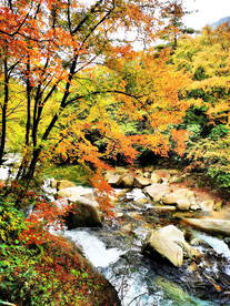 巴中光雾山风光