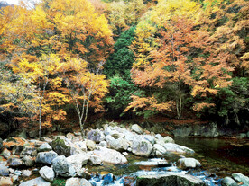 巴中光雾山风光