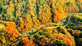 巴中光雾山风光