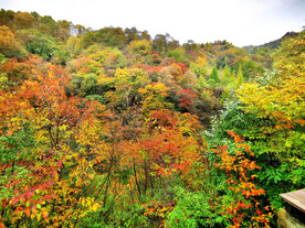 巴中光雾山风光