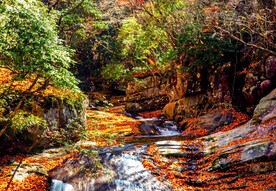 巴中光雾山风光