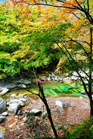 巴中光雾山风光