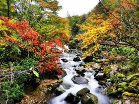 巴中光雾山风光