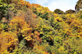 巴中光雾山风光