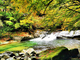 巴中光雾山风光