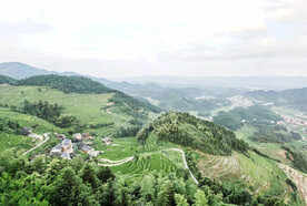 新化紫鹊界梯田