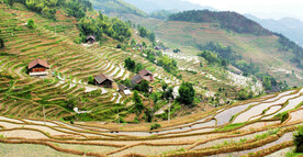 新化紫鹊界梯田