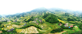 新化紫鹊界梯田