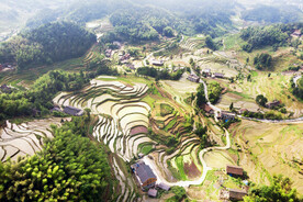 新化紫鹊界梯田