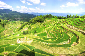 新化紫鹊界梯田