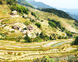 新化紫鹊界梯田