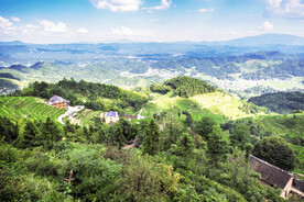 新化紫鹊界梯田