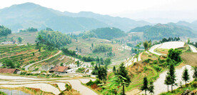 新化紫鹊界梯田