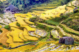新化紫鹊界梯田