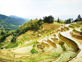 新化紫鹊界梯田