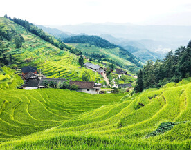 新化紫鹊界梯田