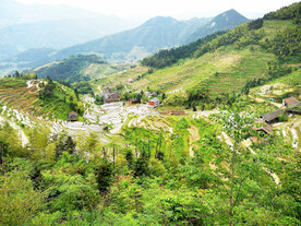 新化紫鹊界梯田