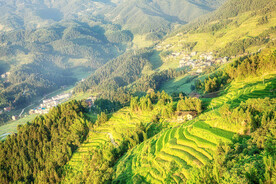 新化紫鹊界梯田