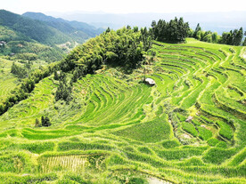 新化紫鹊界梯田