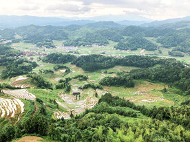 新化紫鹊界梯田
