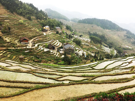 新化紫鹊界梯田