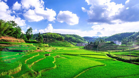 新化紫鹊界梯田