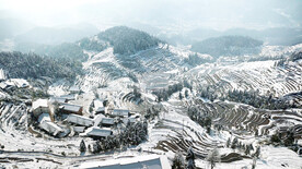 新化紫鹊界梯田